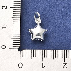 925 Sterling Silver Pendants&nbsp;STER-P057-06S