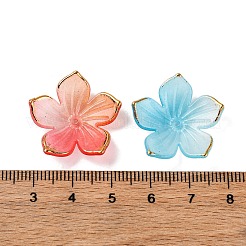Transparent Acrylic Bead Caps&nbsp;TACR-P011-03G