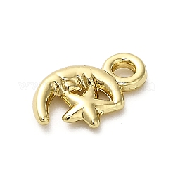 Alloy Pendants&nbsp;FIND-A051-02B-G