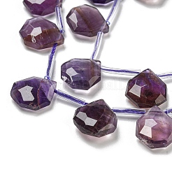 Natural Amethyst Beads Strands&nbsp;G-P544-C01-01
