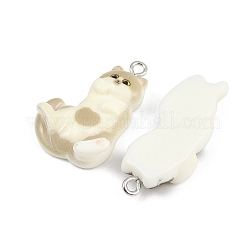 Resin Pendants&nbsp;RESI-I342-01P