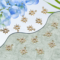 40Pcs UV Plating Alloy Rhinestone Pendants&nbsp;ALRI-DC0001-09