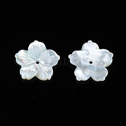 Natural White Shell Beads&nbsp;SSHEL-N027-131B-01