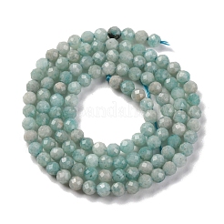 Natural Amazonite Beads Strands&nbsp;G-A235-A04-01
