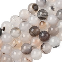 Natural Dendritic Agate Beads Strands&nbsp;G-C011-10mm-01