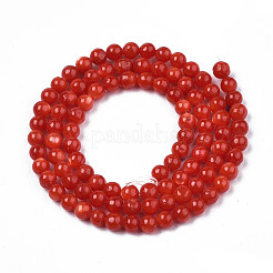 Natural Freshwater Shell Beads Strands&nbsp;X-SHEL-N003-24-B05