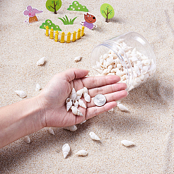 Natural Trumpet Shell Beads&nbsp;BSHE-KS0001-01