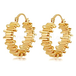 Brass Hoop Earrings for Women&nbsp;WGB6F4D-01