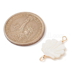 Natural Freshwater Shell Connector Charms&nbsp;PALLOY-JF02442-01