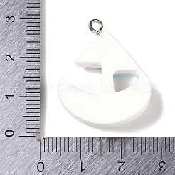 Ocean Theme Opaque Resin Pendants&nbsp;RESI-S403-02B