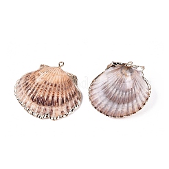 Electroplate Natural Scallop Shell Big Pendants&nbsp;SSHEL-Q100-19KCG
