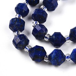 Natural Lapis Lazuli Beads Strands&nbsp;G-O201B-25-1