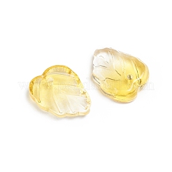 Two-Tone Transparent Glass Charms&nbsp;X-GLAA-H016-15J
