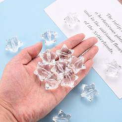Transparent Acrylic Beads&nbsp;TACR-ZX018-02