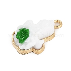 Alloy Pendants&nbsp;FIND-K020-17G