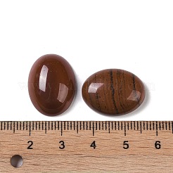 Natural Red Jasper Cabochons&nbsp;G-B080-01A-06