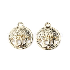 Alloy Pendants&nbsp;PALLOY-K001-32