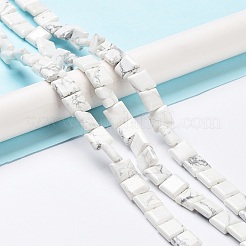 Natural Howlite Beads Strands&nbsp;G-K337-05