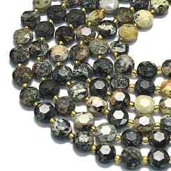 Natural African Turquoise(Jasper) Beads Strands&nbsp;G-C116-A133-01