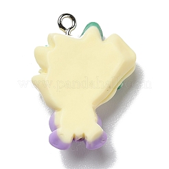 Opaque Resin Pendants&nbsp;RESI-D055-048P