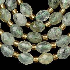 Natural Prehnite Beads Strands&nbsp;G-F809-A06-01