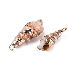 Electroplated Golden Brass Trim Natural Spiral Shell Pendants&nbsp;SSHEL-N042-40