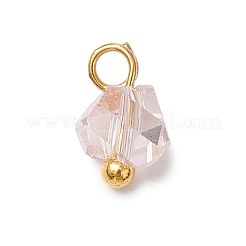 Electroplate Glass Charms&nbsp;PALLOY-JF04004