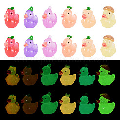 12Pcs 6 Style Fuuny Luminous Resin Vegetable Duck Diaplay Decoration&nbsp;RESI-TAD0001-03