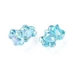 Transparent Acrylic Pendants&nbsp;MACR-S373-113-C04
