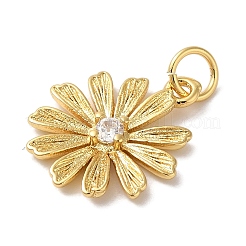 Rack Plating Brass & Cubic Zirconia Pendants&nbsp;X-KK-L216-056G