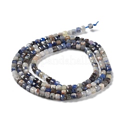 Natural Sodalite Beads Strands&nbsp;G-J400-A06-01
