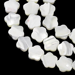 Natural Trochid Shell/Trochus Shell Beads Strands&nbsp;SH-CBA2978-08