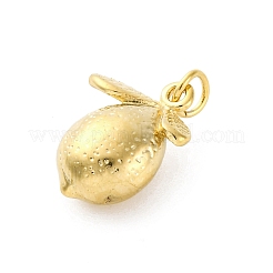 304 Stainless Steel Pendants&nbsp;STAS-U049-01A-08G
