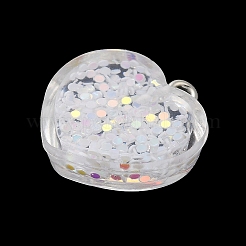 Acrylic Pendant&nbsp;OACR-H030-01B