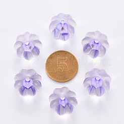 Transparent Acrylic Beads&nbsp;TACR-S154-19A-47