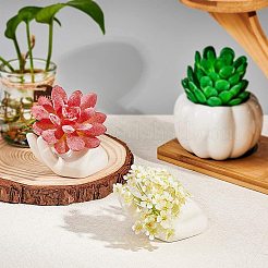 Porcelain Display Decorations&nbsp;DJEW-GA0001-01