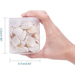 Shell Beads&nbsp;BSHE-PH0003-15