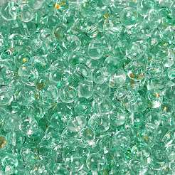 6/0 Spray Paint Fringe Glass Seed Beads&nbsp;X1-SEED-H003-11L