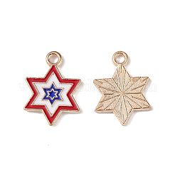 Independence Day Alloy Enamel Pendants&nbsp;ENAM-K067-36