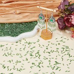 3000Pcs Glass Bugle Beads&nbsp;SEED-PA0001-13C
