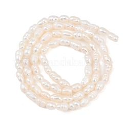 Natural Cultured Freshwater Pearl Beads Strands&nbsp;PEAR-F020-09