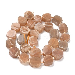 Natural Sunstone Beads Strands&nbsp;G-I394-D22