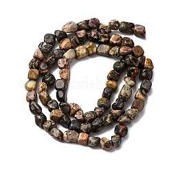 Natural Leopard Skin Jasper Beads Strands&nbsp;G-I389-A09