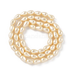 Polished Shell Pearl Beads Strands&nbsp;BSHE-L042-A06