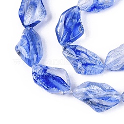Handmade Lampwork Beads Strands&nbsp;LA-N046-02E