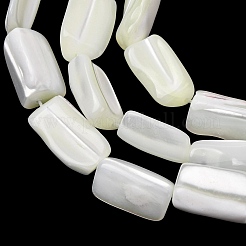 Natural Trochid Shell/Trochus Shell Beads Strands&nbsp;SH-CBA2978-20A