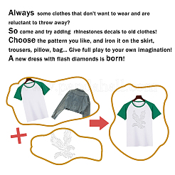 Glass Hotfix Rhinestone&nbsp;DIY-WH0303-162