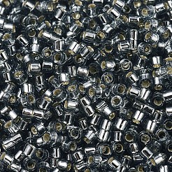MIYUKI Delica Beads&nbsp;X-SEED-J020-DB0048