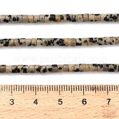 Natural Dalmatian Jasper Beads Strands&nbsp;G-P608-A04-01