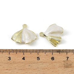 Alloy Enamel Pendants&nbsp;FIND-H024-02G